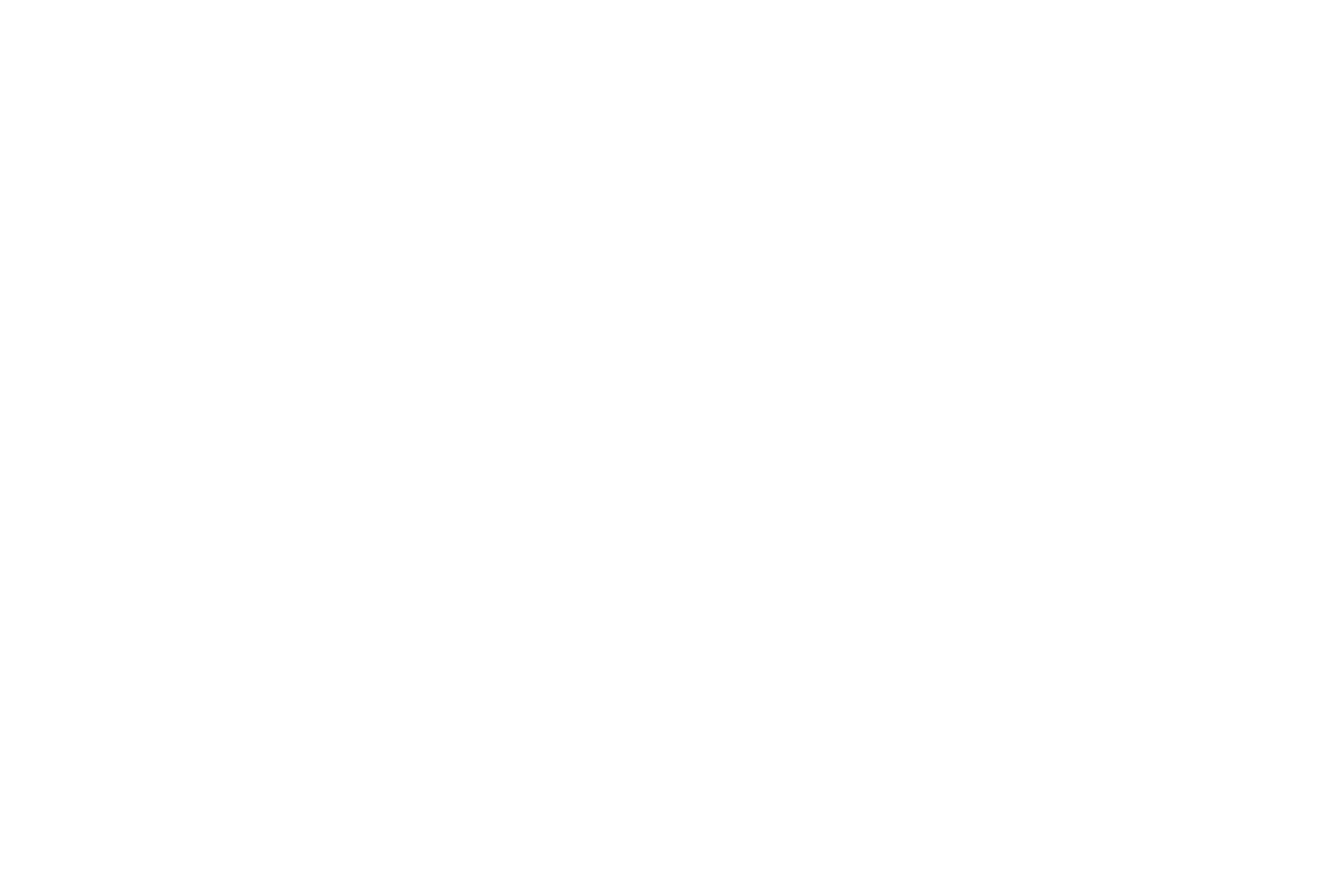 TEDU